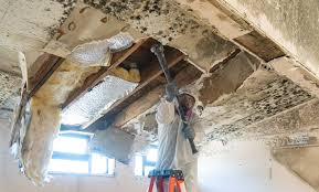 Mold Remediation for Rental Properties in Beesleys Point, NJ